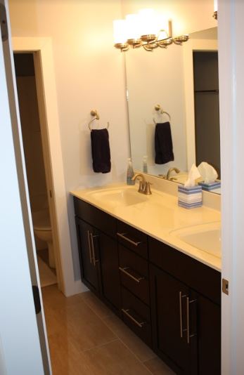 double sink counter top